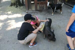 Petting Zoo and Wildlife Rehab Facility